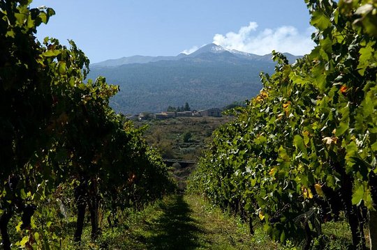 Tour image 10
