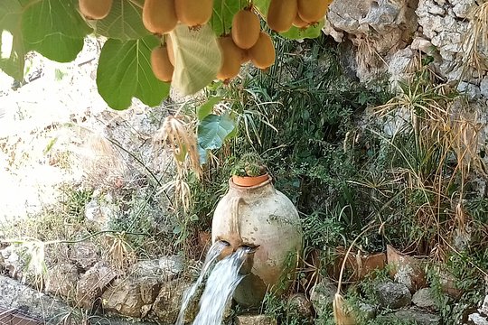 Tour image 3